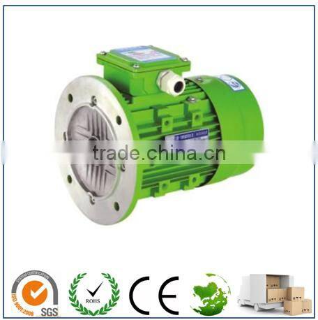 Y2 Series aluminum electric motor for food machine