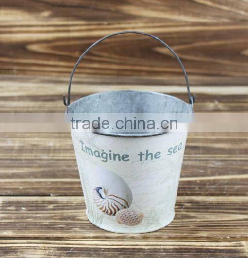 2014 autumn conch design buckets ice buckets for sale