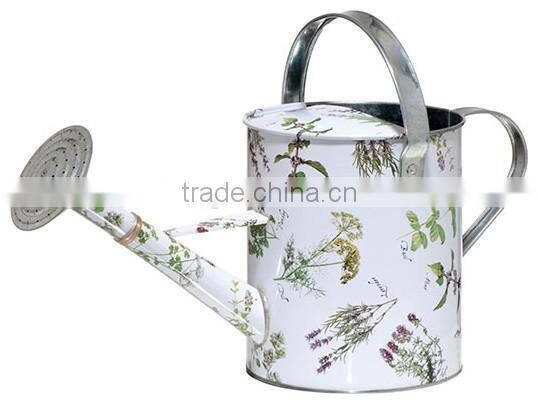 Unique Flower Pattern Garden Decoration/ Zinc Flower Planter Pot & Watering can_Balcony Decoration