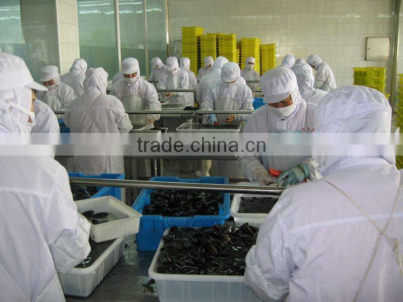 IQF Half shell blue mussel