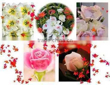 hot sale and low price and fast speed digital nail printer for beauty salon with computer