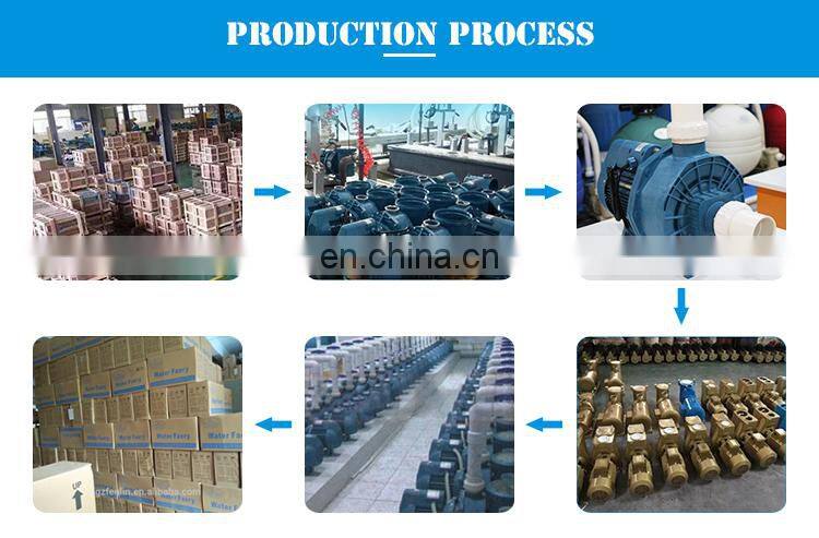 Portable Used Small Pool Pumps, Commercial Electric 800w Inground Swimming Pool Pump