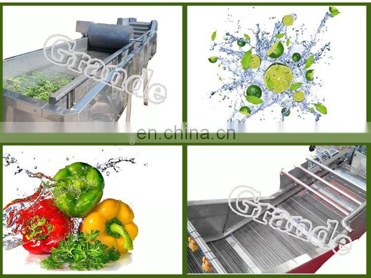 500kg/h Industrial Automatic Fruit Washer Dryer Vegetable Washing Machine Basil Bubble Washing Machine