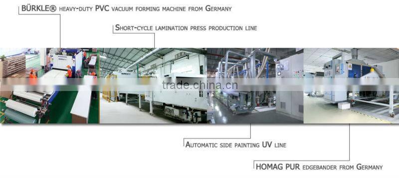 Hot-selling modern new design kitchen cabinet( CDY-S229)