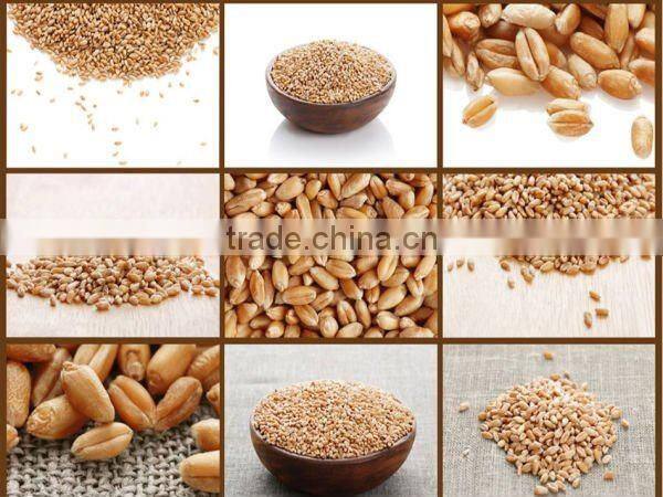 Double scales particles quantitative packing machine for salt