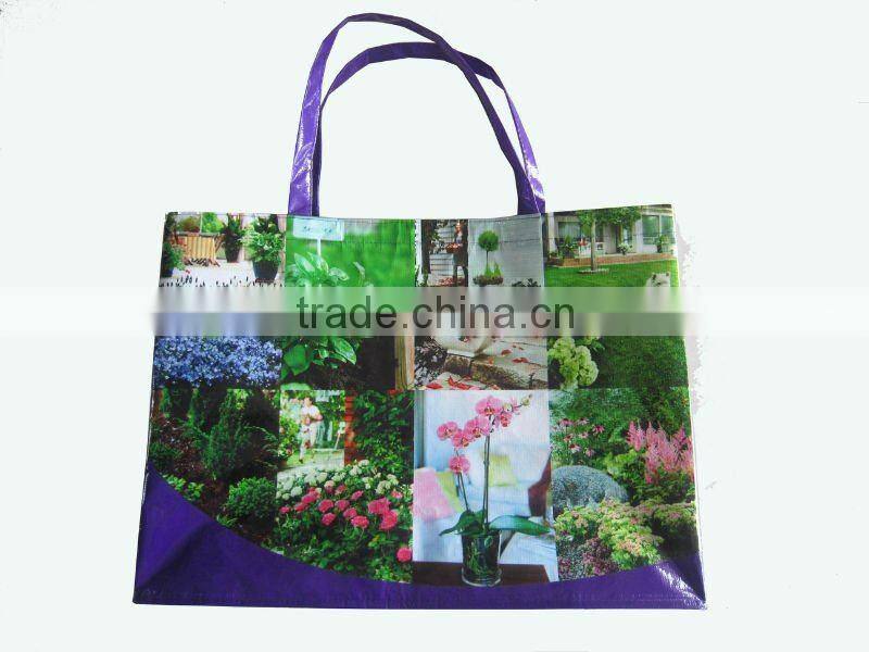pp non-woven shopping carry bag