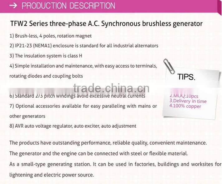 low noise TFW series three-phase brushless generator