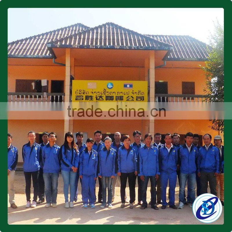 Best price arabica green coffee beans