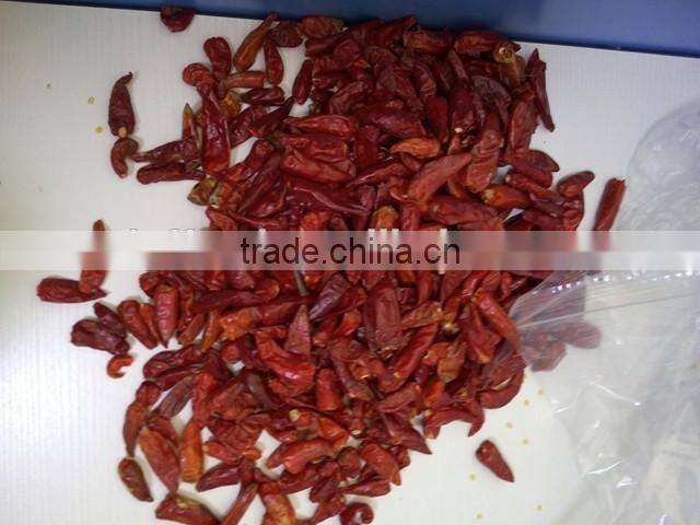 Dry red chili with high quality