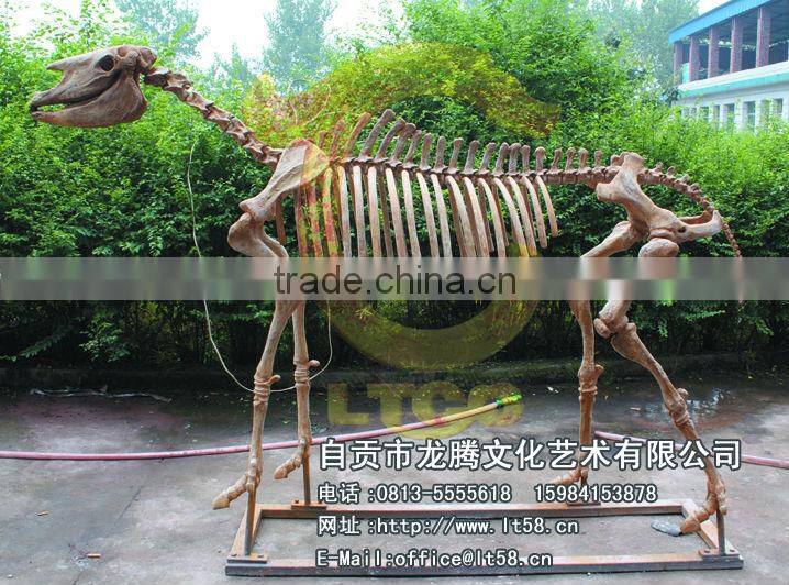 2013 Newest Best Quality Dinosaur Skeleton Model