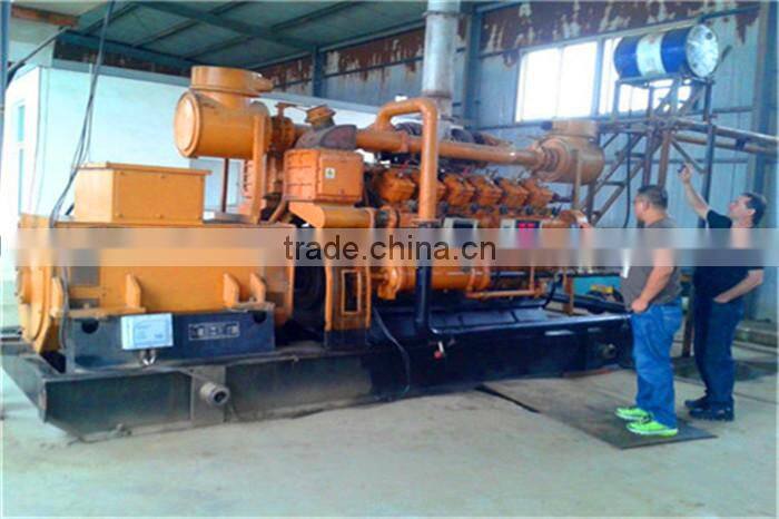 China high quality biogas generator / biomass cogenerator / landfill gas generator