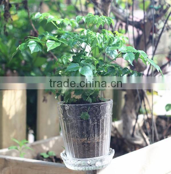 natural transparent decorative indoor flower pots with tray