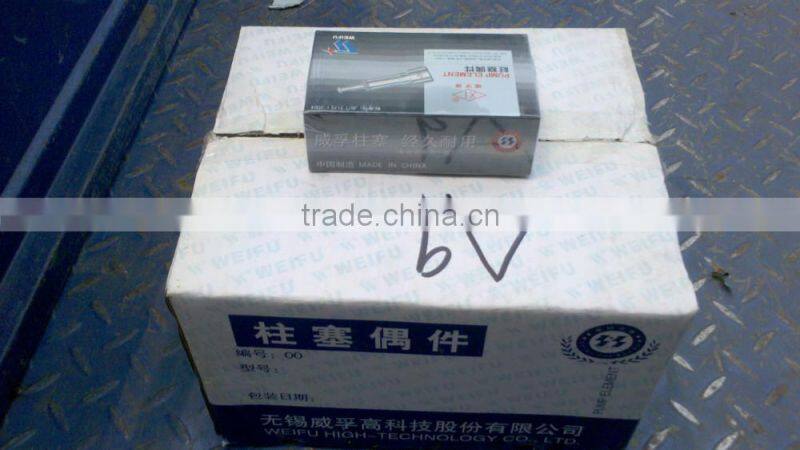 CFZS1130 Plunger For Diesel Engine