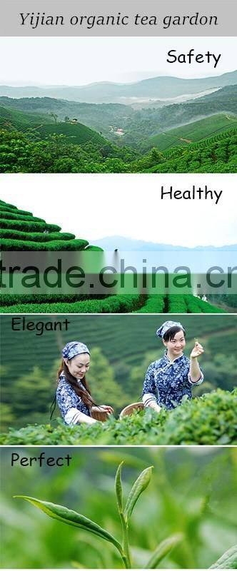 Yijian Organic Green Tea certified by China,EU, U.S,Japan