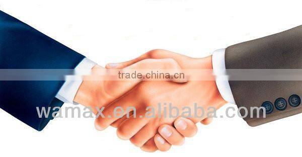 Sexy Japanese PVC anime figure doll