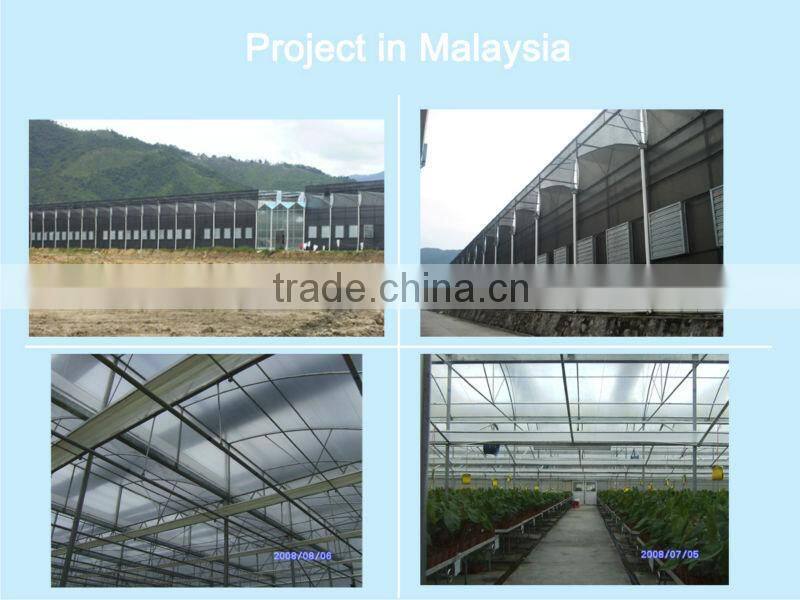 plastic film greenhouse Polyethylene film multi span agriculture greenhouse