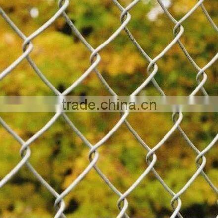 PVC / Galvanized Chain Link Fence(competitive price)