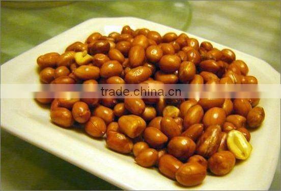 Blanched peanut kernels, peanuts in shell, roasted peanut inshell