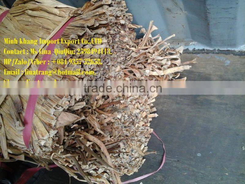 Water hyacinth Fiber _ Qiu qiu : 2598494113