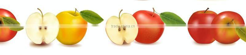 best price China red fuji apples