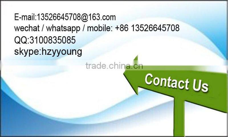 China suppier ride amusement roller coaster train for sale sliding dragon