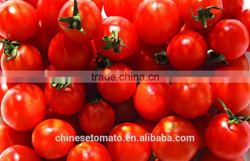 fresh tomato paste in tin food and red color