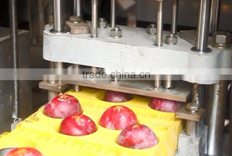 Plum Pitting Pitter Stoner Machine