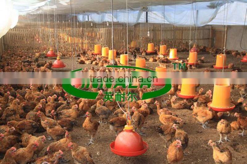 Factory Direct Sales Automatic Chicken Feeding System