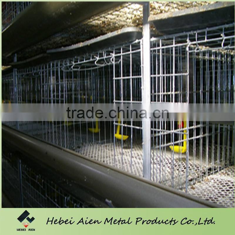 H type and A type broiler battery cage