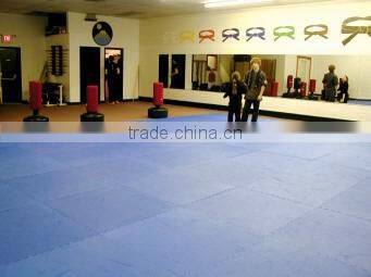 Gym mat/judo mat/ EVA flooring Tiles/tatami mat/baby game mat