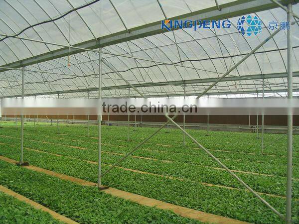 Plastic Poly Film Greenhouse