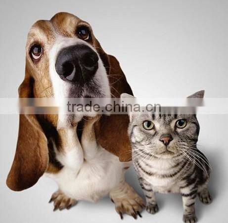 Factory offer yugong pellet machine