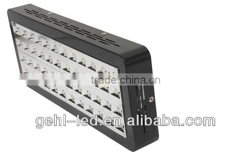 LED Grow Lamps for Indoor Growing Tomatoes