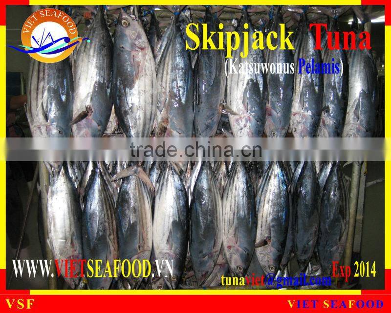 FROZEN W/R SKIPJACK TUNA