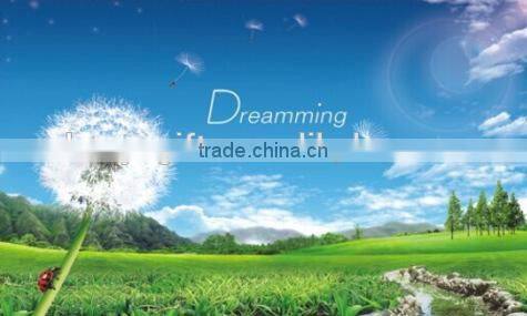 Fashion decorative wall sticker , kitchen aluminum foil oil stickers,TV setting post