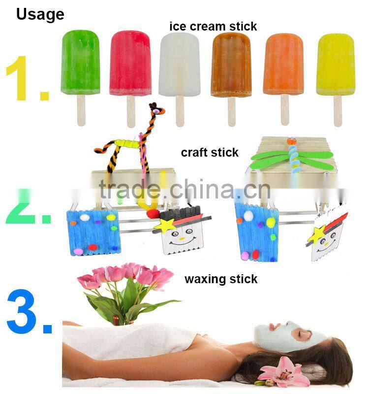 wooden popsicle stick