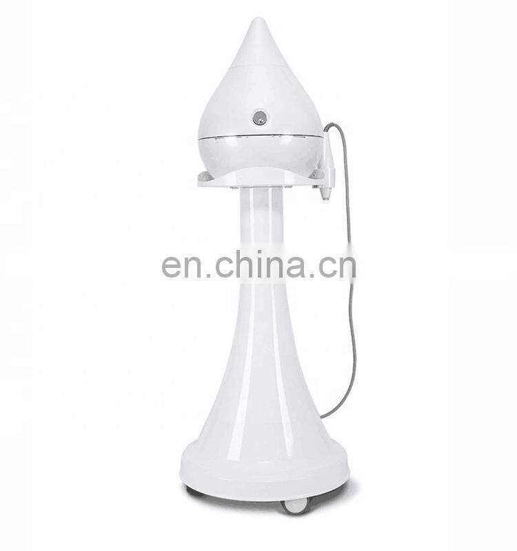 Newest UltraSound Machine No Needle Mesotherapy Aqua Injector Wrinkle Removal Facial Skin Moisturizing Machine