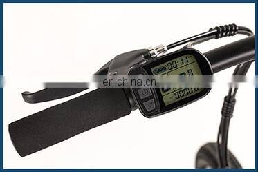 BEBHM20BM 20 Inch 36V Foldable Electric Bicycle With LCD Display, Portable Hidden Lithium Battery Electric Bike