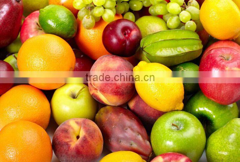 2014 best sale China product fruit and vegetables juicer machines for restaurant