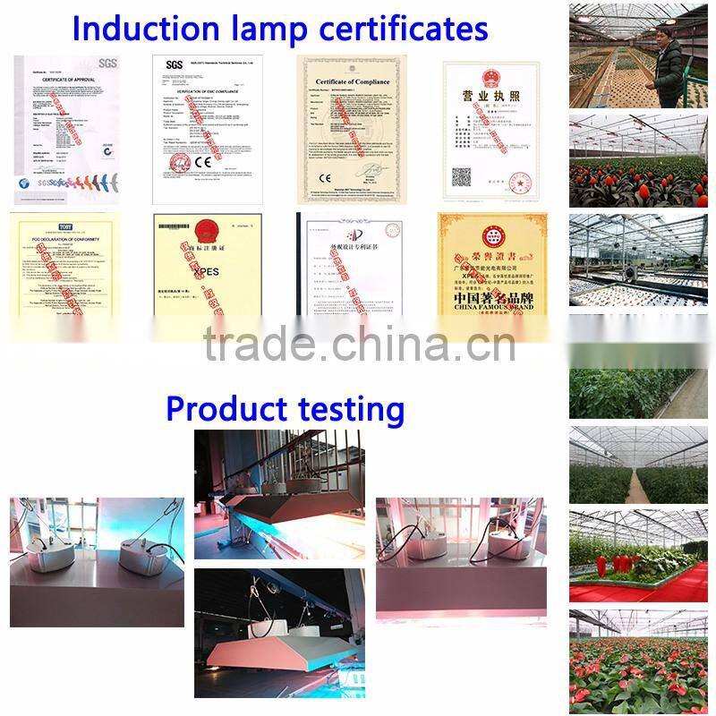 High Efficiency Lumen bi-spectrum induction grow light magnetic 400/500/600watt for medicinal plants