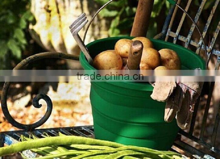 Silicone Collapsible Bucket Red