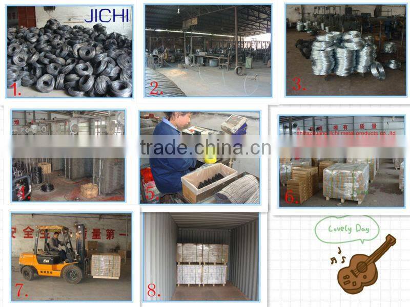 China Manufacturer Wall Ties for Construction Formwork