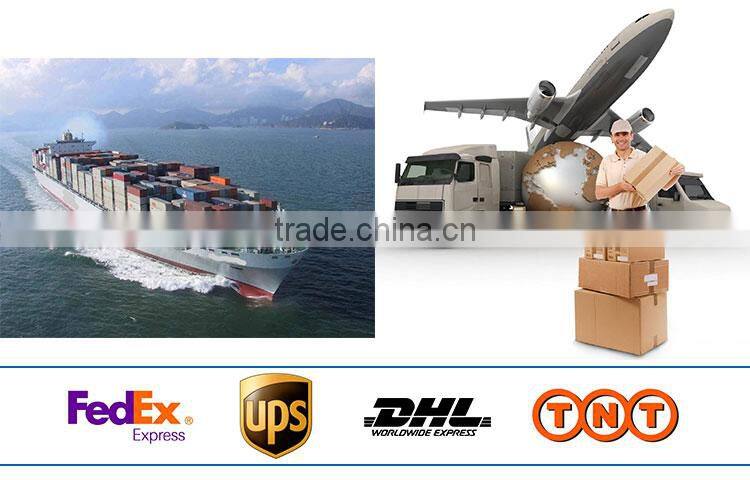 High quality optional 19 inch LCD AD player, train USB LCD video player, 12v24v auto loop display lcd advertising monitor