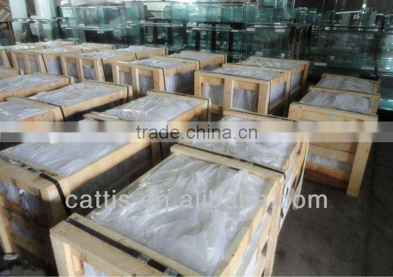 Clear tempered glass shower enclosure Y009 6-8mm