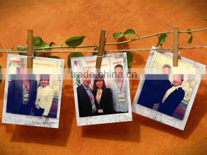 Pumpkin Seeds in Shell