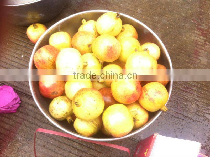 Pomegranate seed and juice machine