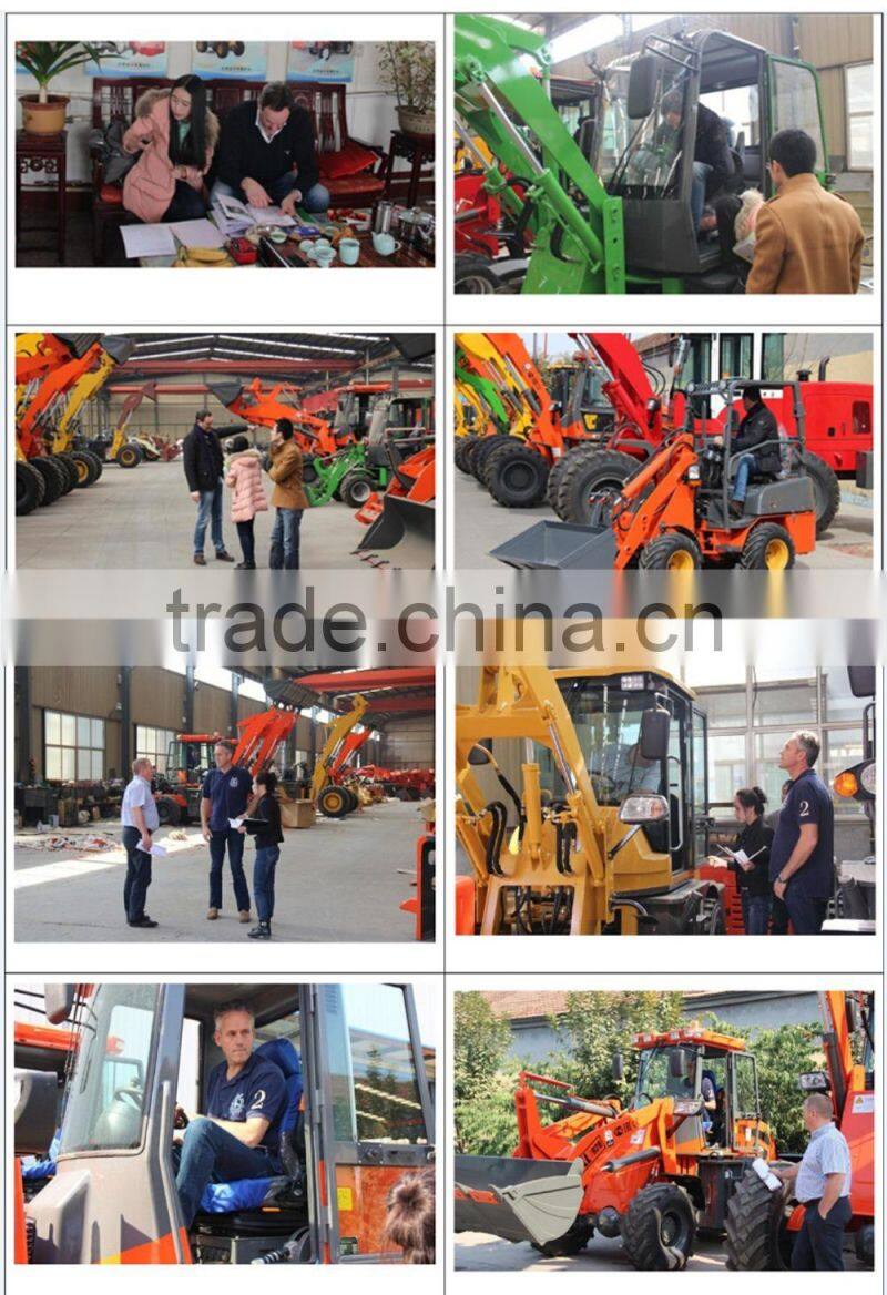 China skid 45hp, china skid stter loader, china skid loader with mulcher