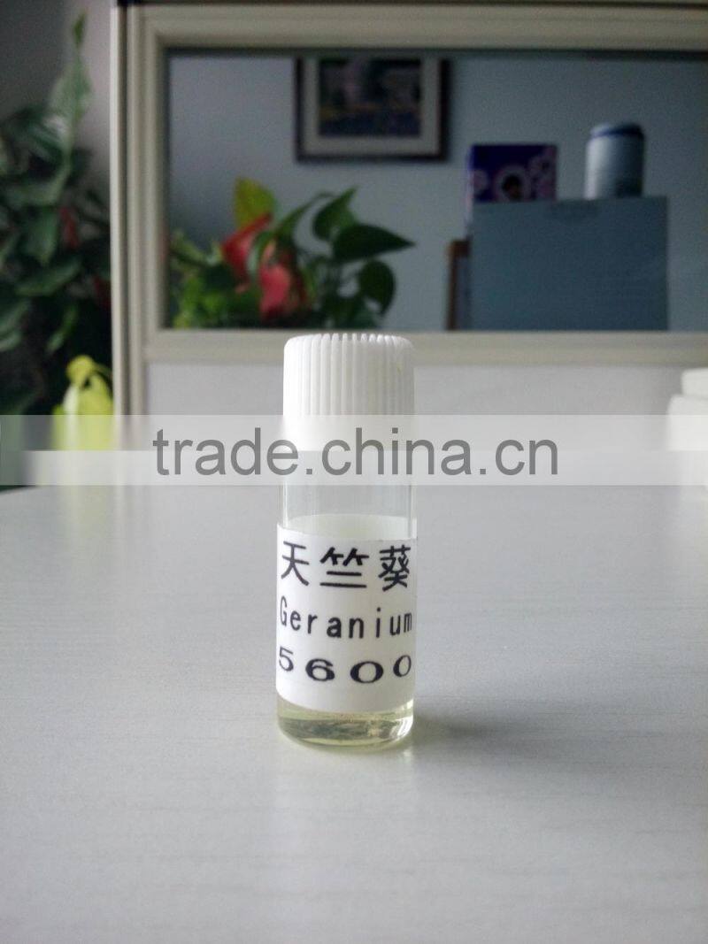 Balance Effect Competitive Price Medical Edible Grade Geranium Oil