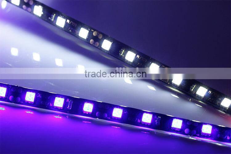 12v Led Lights Blue Color SMD5050