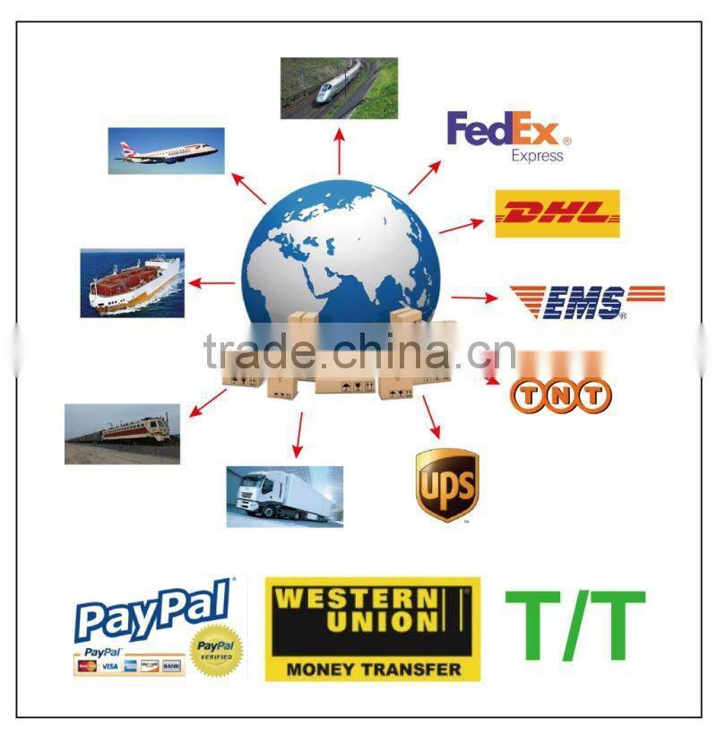 Ex-factory price hot salse IP44 Solar Spike light solar grave light christmas lights spike